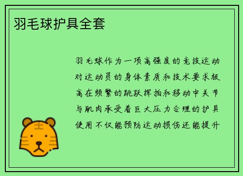 羽毛球护具全套
