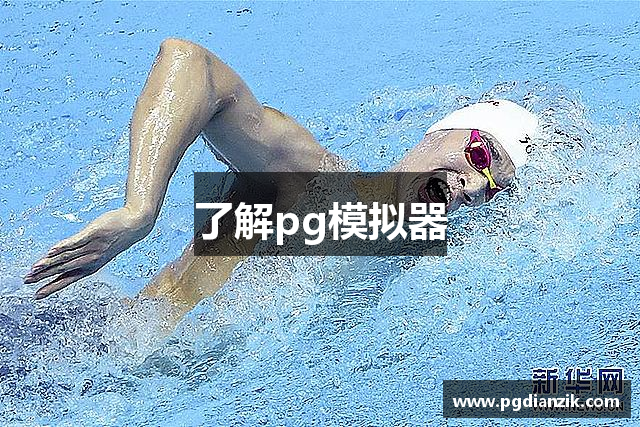 了解pg模拟器
